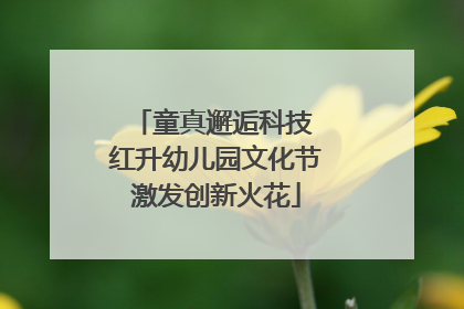 童真邂逅科技 红升幼儿园文化节激发创新火花