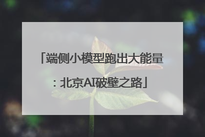 端侧小模型跑出大能量：北京AI破壁之路