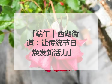 端午｜西湖街道：让传统节日焕发新活力