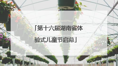 第十六届湖南省体验式儿童节启幕