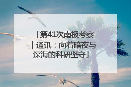 第41次南极考察｜通讯：向着暗夜与深海的科研坚守