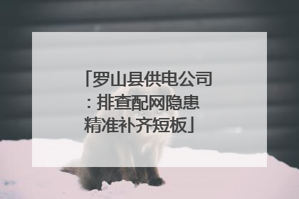 罗山县供电公司：排查配网隐患 精准补齐短板