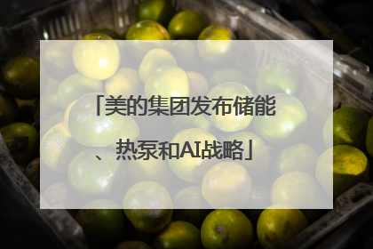美的集团发布储能、热泵和AI战略