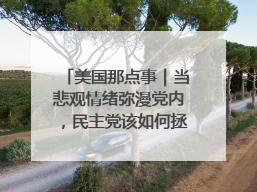 美国那点事｜当悲观情绪弥漫党内，民主党该如何拯救自己？