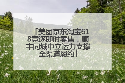 美团京东淘宝618竞逐即时零售，顺丰同城中立运力支撑全渠道履约
