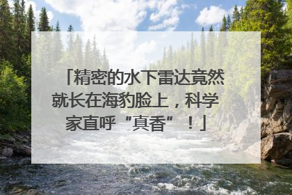 精密的水下雷达竟然就长在海豹脸上，科学家直呼“真香”！