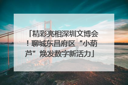 精彩亮相深圳文博会！聊城东昌府区“小葫芦”焕发数字新活力