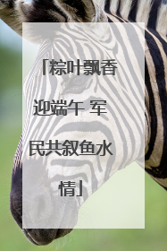 粽叶飘香迎端午 军民共叙鱼水情