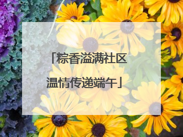 粽香溢满社区 温情传递端午