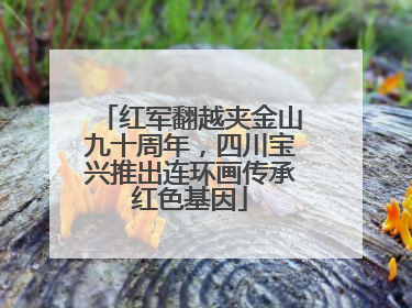 红军翻越夹金山九十周年，四川宝兴推出连环画传承红色基因