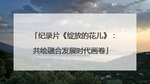 纪录片《绽放的花儿》：共绘融合发展时代画卷