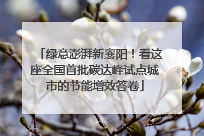 绿意澎湃新襄阳！看这座全国首批碳达峰试点城市的节能增效答卷