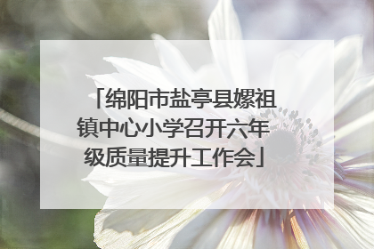 绵阳市盐亭县嫘祖镇中心小学召开六年级质量提升工作会