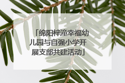 绵阳梓潼幸福幼儿园与自强小学开展支部共建活动