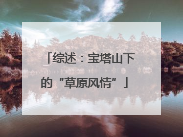 综述：宝塔山下的“草原风情”