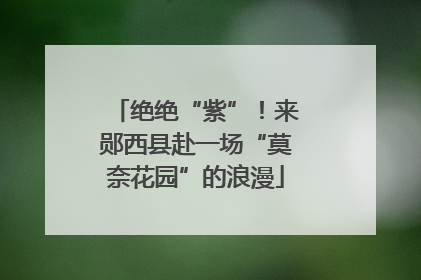 绝绝“紫”！来郧西县赴一场“莫奈花园”的浪漫