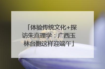体验传统文化+探访朱熹理学：广西玉林台胞这样迎端午