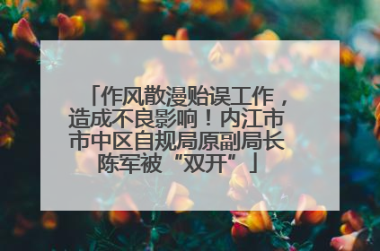 作风散漫贻误工作，造成不良影响！内江市市中区自规局原副局长陈军被“双开”