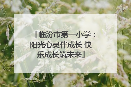 临汾市第一小学：阳光心灵伴成长 快乐成长筑未来