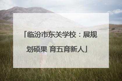 临汾市东关学校：展规划硕果 育五育新人