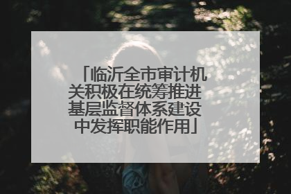 临沂全市审计机关积极在统筹推进基层监督体系建设中发挥职能作用