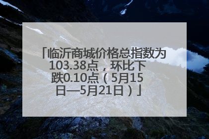 临沂商城价格总指数为103.38点，环比下跌0.10点（5月15日—5月21日）