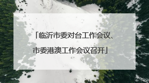 临沂市委对台工作会议、市委港澳工作会议召开