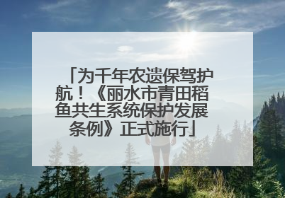 为千年农遗保驾护航！《丽水市青田稻鱼共生系统保护发展条例》正式施行