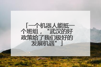 一个机器人能抵一个班组，“武汉的好政策给了我们极好的发展机遇”