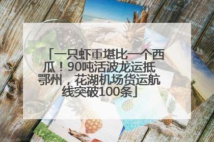 一只虾重堪比一个西瓜！90吨活波龙运抵鄂州，花湖机场货运航线突破100条