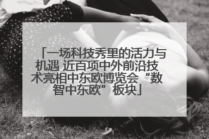 一场科技秀里的活力与机遇 近百项中外前沿技术亮相中东欧博览会“数智中东欧”板块