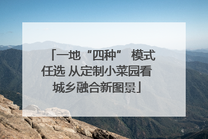 一地“四种” 模式任选 从定制小菜园看城乡融合新图景