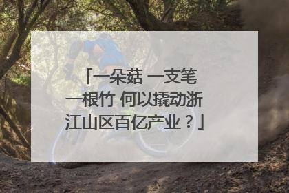一朵菇 一支笔 一根竹 何以撬动浙江山区百亿产业？