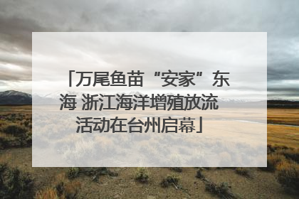 万尾鱼苗“安家”东海 浙江海洋增殖放流活动在台州启幕
