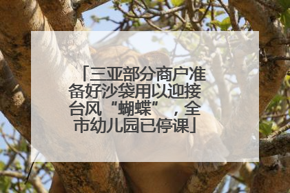 三亚部分商户准备好沙袋用以迎接台风“蝴蝶”，全市幼儿园已停课