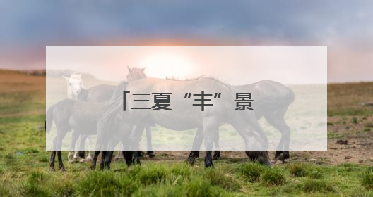 三夏“丰”景｜农机安全保“三夏”丰收