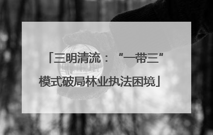 三明清流：“一带三”模式破局林业执法困境