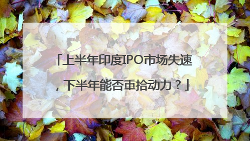 上半年印度IPO市场失速，下半年能否重拾动力？