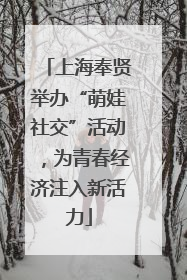 上海奉贤举办“萌娃社交”活动，为青春经济注入新活力