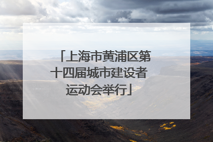 上海市黄浦区第十四届城市建设者运动会举行