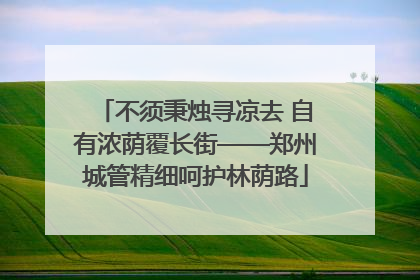 不须秉烛寻凉去 自有浓荫覆长街——郑州城管精细呵护林荫路