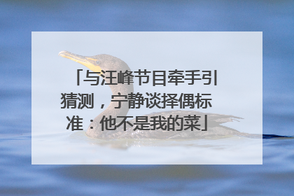 与汪峰节目牵手引猜测，宁静谈择偶标准：他不是我的菜