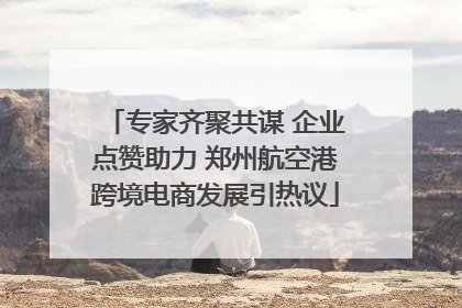 专家齐聚共谋 企业点赞助力 郑州航空港跨境电商发展引热议