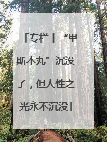 专栏丨“里斯本丸”沉没了，但人性之光永不沉没