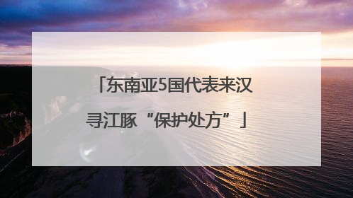 东南亚5国代表来汉寻江豚“保护处方”