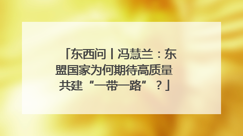 东西问丨冯慧兰：东盟国家为何期待高质量共建“一带一路”？
