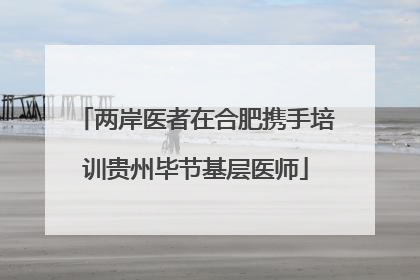 两岸医者在合肥携手培训贵州毕节基层医师