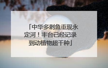 中华多刺鱼重现永定河！丰台已经记录到动植物超千种