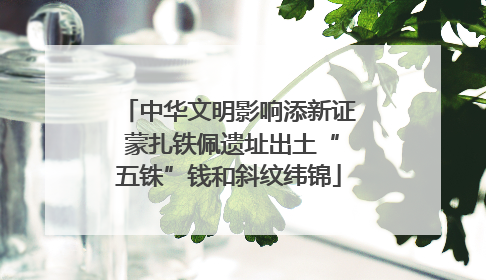 中华文明影响添新证 蒙扎铁佩遗址出土“五铢”钱和斜纹纬锦