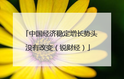 中国经济稳定增长势头没有改变（锐财经）